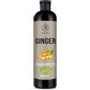 AROMATIKA trust the power of nature Shampoo allo Zenzero 500ml - Shampoo Idratante e Nutriente - Cura dei Capelli e del cuoio Capelluto - Lucentezza per capelli - Capelli Morbidi ed Elastici - per Tutti i Tipi di Capelli