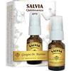 DR.GIORGINI SER-VIS Srl SALVIA QUINTESSENZA SPRAY