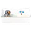 FERPLAST Gabbia Roditori MINI DUNA HAMSTER per Criceti, Topolini, in Plastica, Accessori inclusi: Mangiatoia, Beverino, Ripiano, Casetta, Scaletta, Ruota. 55x39xh27cm