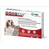 MSD ANIMAL HEALTH PANACUR 10 COMPRESSE 250 MG