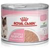 Royal Canin Mother e Babycat Lattina 195g Gattini e Gatte