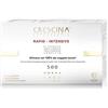 LABO INTERNATIONAL Srl CRESCINA TRANSDERMIC RAPID-INTENSIVE RI-CRESCITA500 UOMO TRATTAMENTO COMPLETO 10+10 FIALE