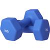 SPORTNOW Set 2 Manubri Esagonali da 7kg in Metallo e Plastica con Impugnatura Antiscivolo, 22.5x10.5x10.5 cm, Blu