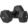 SPORTNOW Set 2 Manubri Esagonali da 8 kg in Metallo e Plastica con Impugnatura Antiscivolo, 24x11x11 cm, Nero