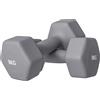 SPORTNOW Set 2 Manubri Esagonali da 9 kg in Metallo e Plastica con Impugnatura Antiscivolo, 25x11x11cm, Grigio