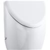Duravit Fizz copri orinatoio, 0061390000, Fizz bianco [Orinatoi > Coperchi Orinatoi]