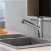 hansgrohe Focus M42 rubinetto da cucina, estraibile, orientabile, 71814000, Focus M42 cromo [Rubinetteria da Cucina > Rubinetti da Cucina]