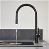 hansgrohe Talis M54 rubinetto da cucina, estraibile, orientabile, 72800670, Talis M54 nero opaco [Rubinetteria da Cucina > Rubinetti da Cucina]