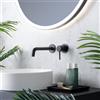 Fortis Brera rubinetto lavabo a parete, SET incluso corpo incasso,, 7820800MB, Brera nero opaco [Rubinetteria Bagno > Rubinetteria Lavabo]
