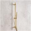 Fortis asta saliscendi rotonda, 50129TTBG, Universal oro spazzolato [Rubinetteria Bagno > Doccette / Supporti]