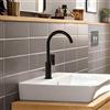 hansgrohe Rebris E rubinetto lavabo 210, 72576670, 210 Rebris E nero opaco [Rubinetteria Bagno > Rubinetteria Lavabo]
