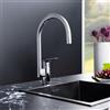 Fortis Nolo Large rubinetto da cucina, orientabile, bocca laterale, 5704900PC, Nolo cromo [Rubinetteria da Cucina > Rubinetti da Cucina]