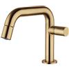 Mamoli Tuttodunpezzo rubinetto bidet, 57100000005G, Tuttodunpezzo ottone spazzolato [Rubinetteria Bagno > Rubinetteria Bidet]