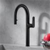 Fortis Mosa extend rubinetto da cucina con 2 tipi di getto, orientabile, bocca estraibile, 0959100MB, Mosa nero opaco [Rubinetteria da Cucina > Rubinetti da Cucina]