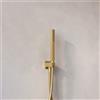 Fortis Wellness set doccetta in metallo, 15501BG#SET2, Universal oro spazzolato [Rubinetteria Bagno > Set Doccia]