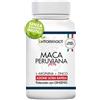 Vitaminact Maca Peruviana Plus XXL Altissimo Dosaggio 10000.00 mcg al giorno - Potenziato con Ginseng + Arginina + Zinco + Vitamine B9, B6, B12, C - Made in Italia - Formula Innovativa