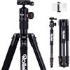 Rollei Treppiede Fotocamera e Smartphone C5i Nero in Alluminio 158cm | Cavalletto Fotografico Compatto da Viaggio con Testa a Sfera 360° Arca Swiss e Funzione Monopiede per DSLR e Smartphone