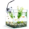 Nobleza - 27L Piccolo Acquario Completo con Illuminazione a LED e Sistema di Filtraggio Integrato, Vasche per Pesci