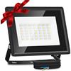 Aigostar Faretto LED da Esterno 30W 2700LM, Impermeabile IP65, 6500K