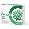SCHWABE PHARMA ITALIA SRL PEGASO STOP JUNIOR 14 BUSTINE