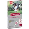 Advantix Spot-On Cani da 10 a 25 kg 4 Pipette Monodose