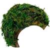Angoily Decorazione Per Terrario Rifugio Per Rettili E Criceti Forma Speciale Verde Per Piccoli Animali Domestici