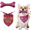 RANYAKE Happy Birthday Cane Bandana,Cane Compleanno Bandana,Bandana di compleanno per cani, Con giocattoli osso carino,Festa di compleanno per animali domestici,Regalo di compleanno per animali domestici