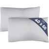 CGK Unlimited Federa 40x60 Grigio chiaro - Set da 2 - Federe in Microfibra di Alta Qualità - Morbide, Confortevoli e Lavabili in Lavatrice - Federa 40x60 per Cuscini, 2 Federe Grigio chiaro - OEKO-TEX Certificato
