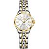 Raitown Orologio da Donna in Acciaio Inossidabile Quarzo Impermeabile Quadrante da 30mm e Scala Diamante Digitale Regalo di Moda Orologi Donna Disponibile in Blu Argento Oro e Nero