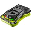 Ryobi RC18150 18V ONE+ - Caricabatterie senza fili, 5,0 A, colore: Verde/Grigio