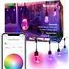 Nanoleaf Matter Essentials, Catena Luminosa Esterno Expansion Pack 15M LED RGBICW - Luci Led 16M Colori, IP65 Impermeabile, 20 Lampadine LED, WiFi Bluetooth Matter, Adatto per Giardino Balcone Gazebo