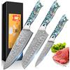 Home Safety 3 Pezzi Set di Coltelli da Cucina con Lama da 12,4-20 cm, in 67 Strati di Acciaio Damasco VG-10, Coltello Chef Santoku Universale Damasco, Manico in Conchiglia Di Abalone, Confezione Regalo
