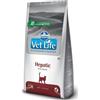 Farmina Vet Life Hepatic per Gatto da 400 gr (SCAD 24/08/24)
