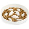 Gatphy Ciotola Anti Gloton per Gatto e Piccolo Cane in Ceramica - Elevata per Prevenire Vomito, Indigestione, Obesità (Bianco Senza Supporto)
