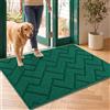 Biscpro Zerbini per Ingresso Interno,60x90cm Tappetino Antiscivolo Lavabile in Lavatrice,Zerbino d'Ingresso Polipropilene Assorbenti per Interno,Ingresso,Esterno,Corridoio,Balcone-Evergreen