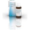 BIOLOGISCHE HEILM. HEEL GMBH AESCULUS Gtt 30ml HEEL