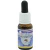 Natur STRENGTH ESSENZA 15 ML 1 PEZZO