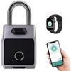Rawrr Lucchetto Smart, lucchetto con cifre Tuya, con impronte digitali, lucchetto resistente alle intemperie, per palestra, ufficio, casa, giardino, armadio, ecc