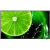 Sharp/NEC E438 43 Essential display, 60005045