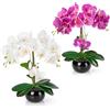 PASCH® Set di 2 Orchidee Artificiali in Vasi di Ceramica Lucida (40 cm), Come Veri