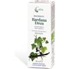 MACERATO BARDANADREN BIO GTT