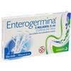 Enterogermina orale sosp 10 flaconcini 2 mld 5 ml