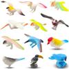 Pinowu Statuette di uccelli (12 pezzi), realistiche aquila, pappagallo, tucano, piccione, gufo, giocattoli, giocattoli educativi per casa delle bambole, decorazione per torta di compleanno, regalo per