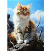 CEOVR Gatto Diamond Painting Kit Completo Gatto Tricolore 5D Diamond Painting,Diamond Painting Bambini,30x40 cm Pittura Diamante,Mosaico Diamanti Painting,Painting Diamond 5D