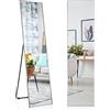 COSTWAY Specchio da Parete Lungo, Specchio da Terra Appendere con Cornice in Lega di Alluminio e Ganci, Per Camera da Letto e Soggiorno, 160 x 40 cm (Argento)