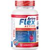 NEO ELEMENTUM OU ARTROFLEX ACTIVE 30 CAPSULE