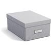BIGSO BOX OF SWEDEN Karin, piccola scatola portaoggetti con coperchio, stabile organizer in fibra e carta effetto lino, pratica scatola pieghevole con cornice per etichette per maggiore spazio -