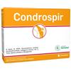 Condrospir 14 Bustine
