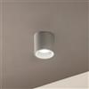 Ondaluce Plafoniera per esterni JUBO in alluminio Silver con diffusore in vetro D9 cm