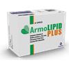 Viatris Armolipid Plus 60 Compresse